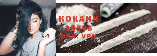 молекула духа Ростов