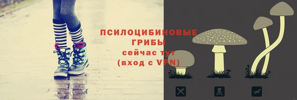 молекула духа Балахна