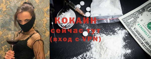 молекула духа Балахна