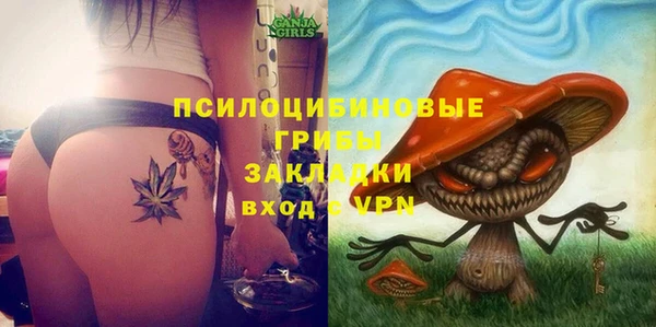 молекула духа Балахна