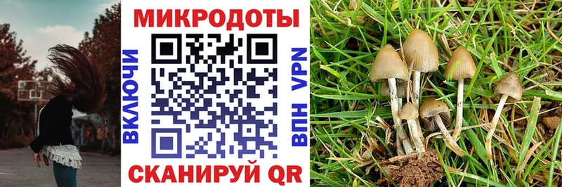 Галлюциногенные грибы ЛСД магазин продажи Красково